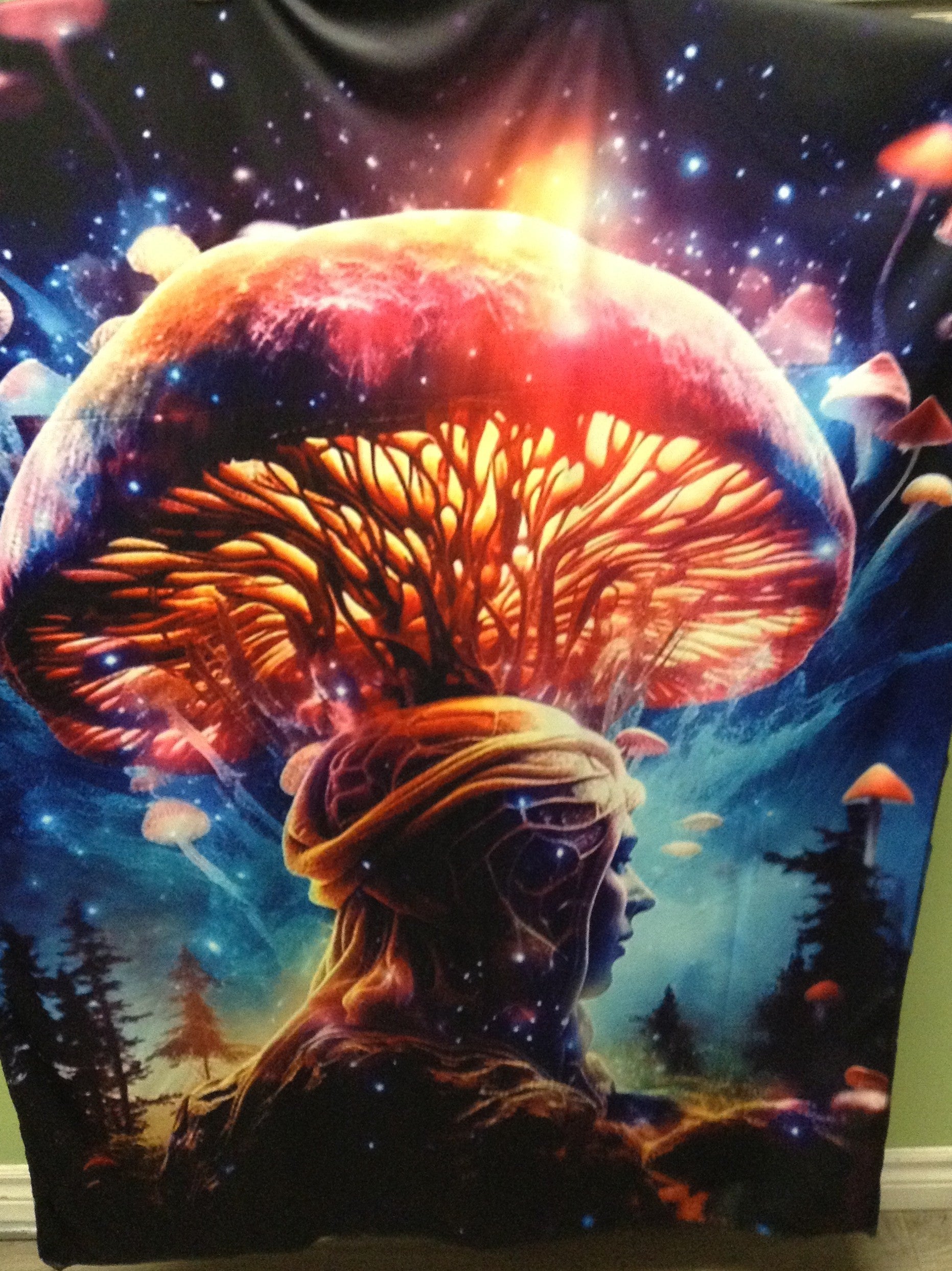 Psychedelic Mushroom Tapestry