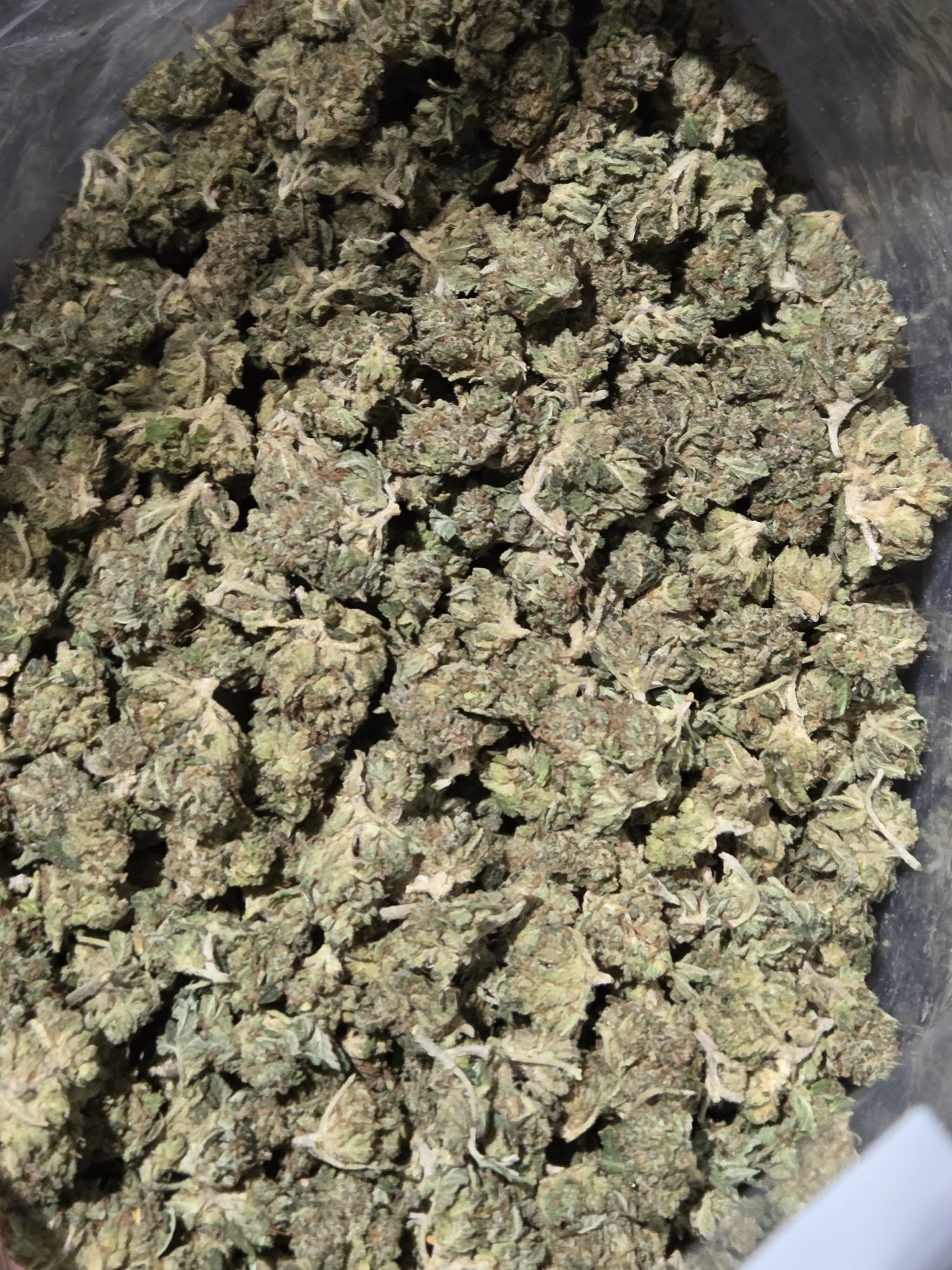 Tuna Can Kush Popcorn Indica (1oz)