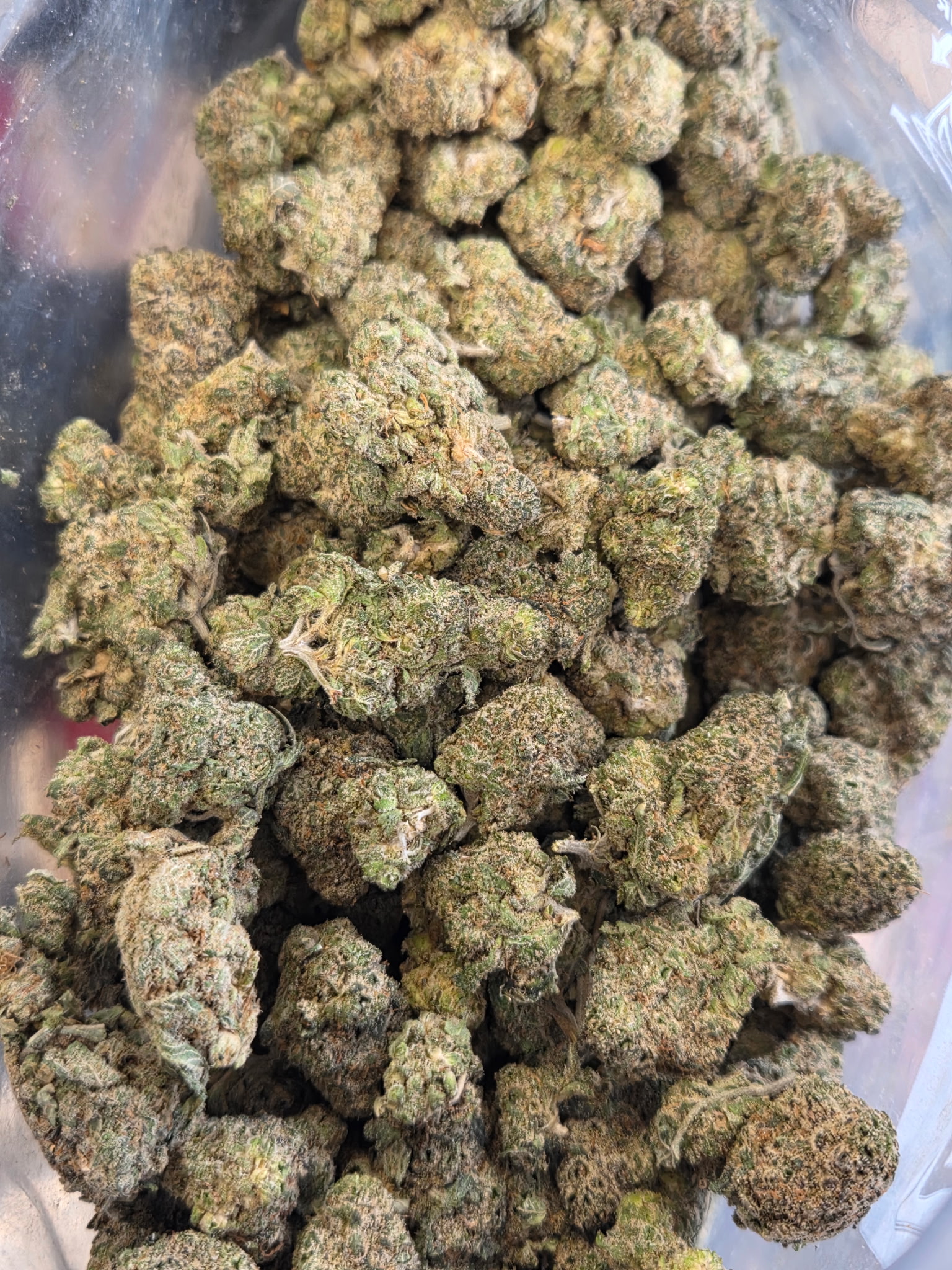 Premium popcorn bud-  Green Crack- 