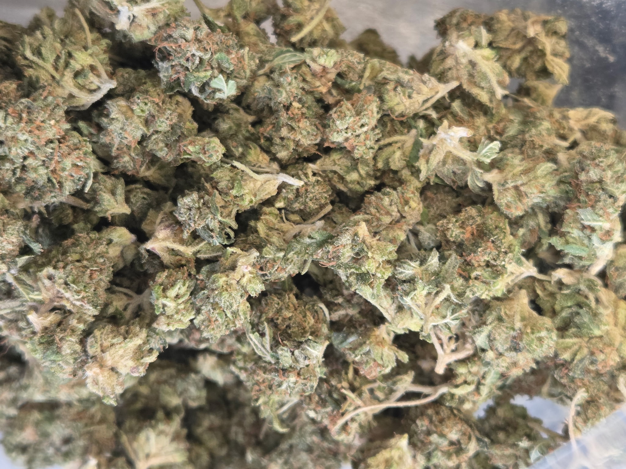Premium Cannabis Buds Tuna kush