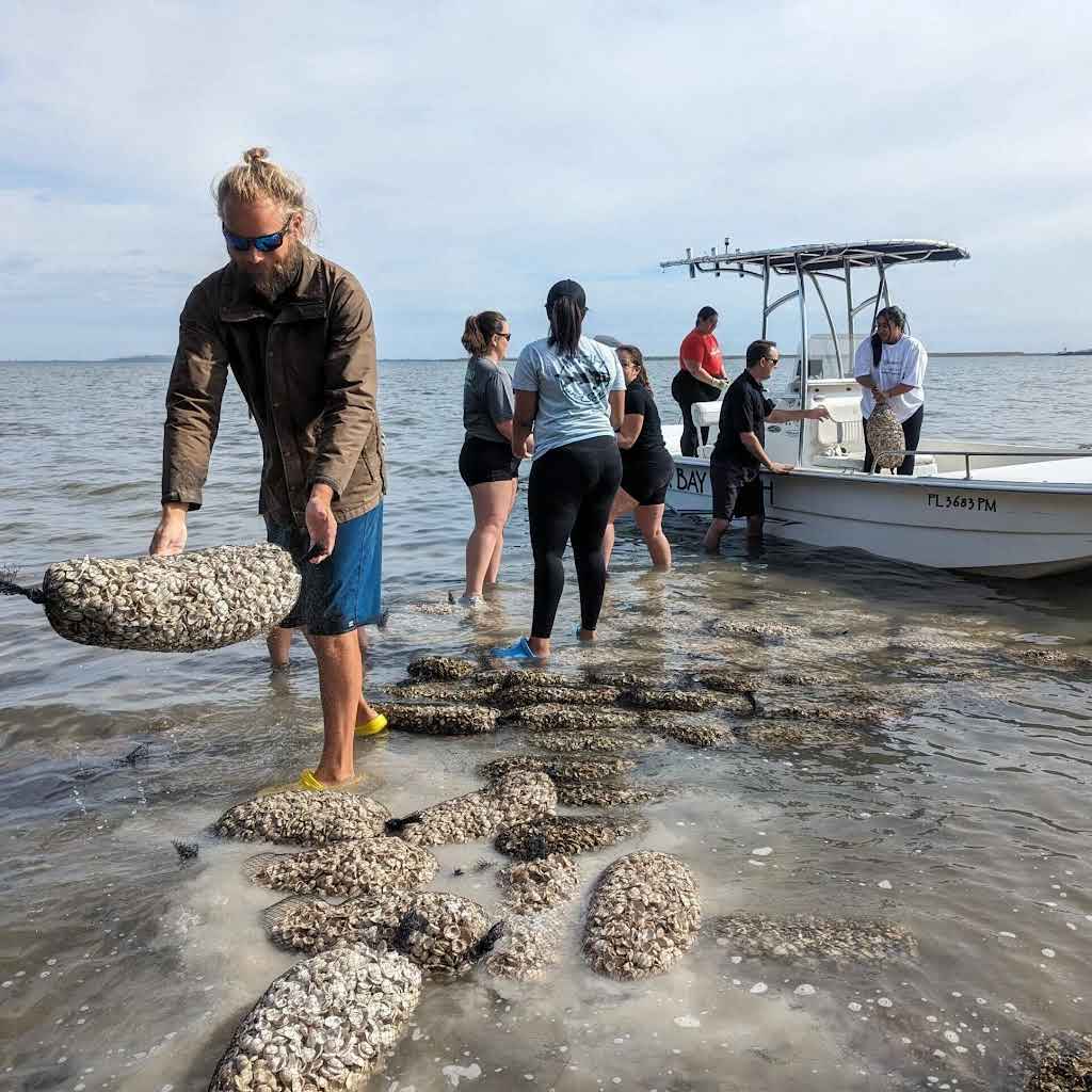 Donate to Oyster Restoration Projects in SWFL
