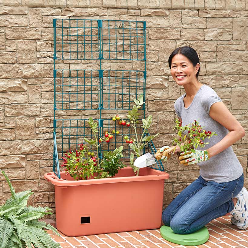Self Watering Mobile Garden with Trellis