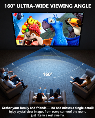 Outdoor/indoor Projector Screen