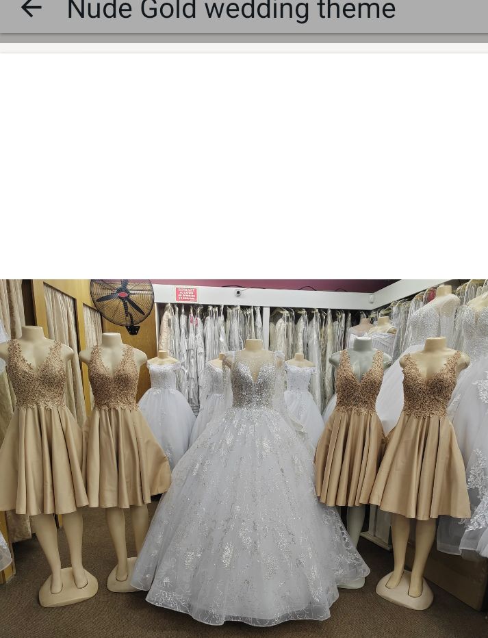 Nude Gold Wedding Dress Set