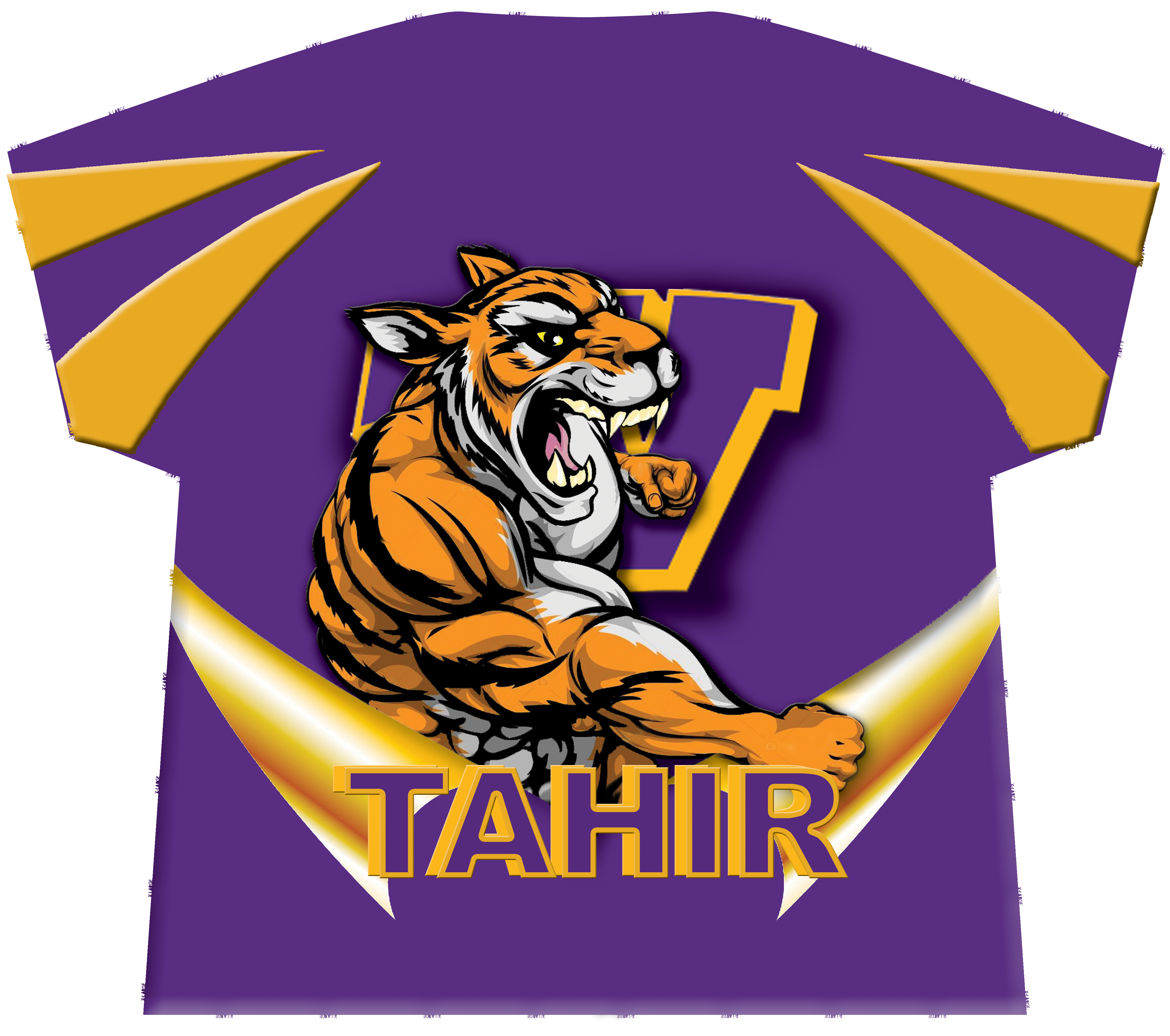 Tiger Graphic Sports T-Shirt