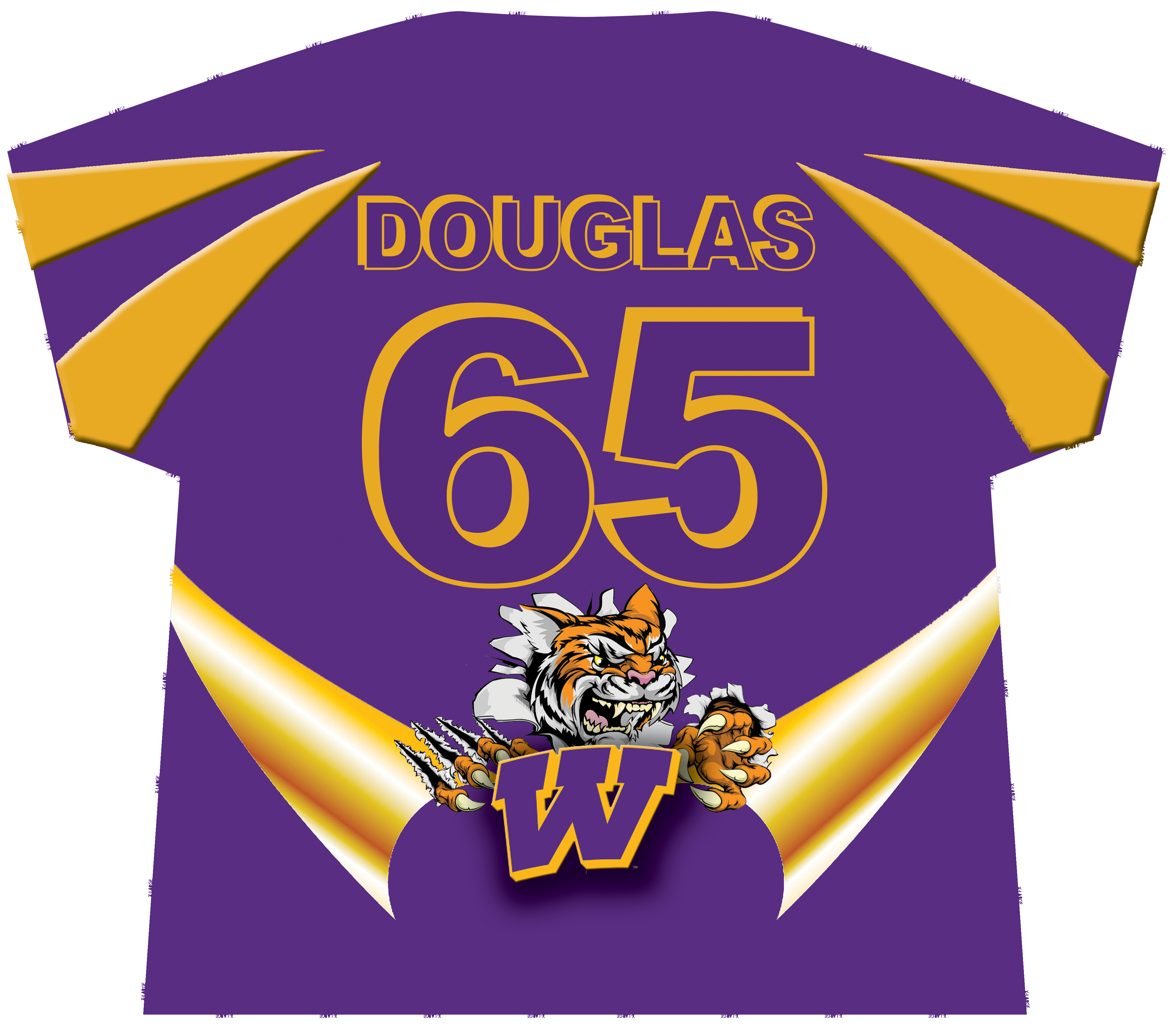 Tiger Graphic Sports T-Shirt