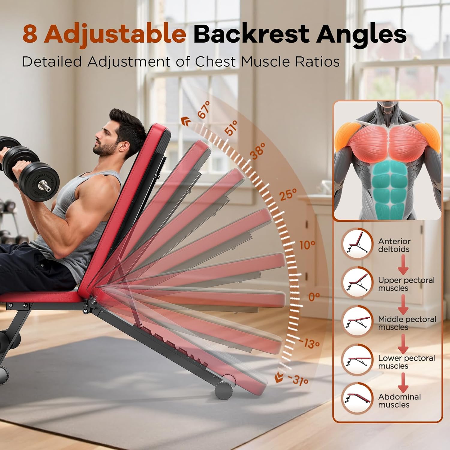 Adjustable Foldable Weight Bench for Home Gym – 660 lb Capacity 💪 Space-Saving Strength Training