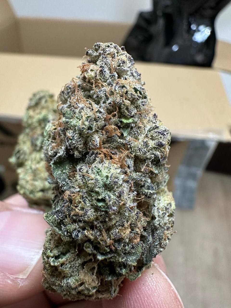 Cali USA Top Shelf - Purple Runtz