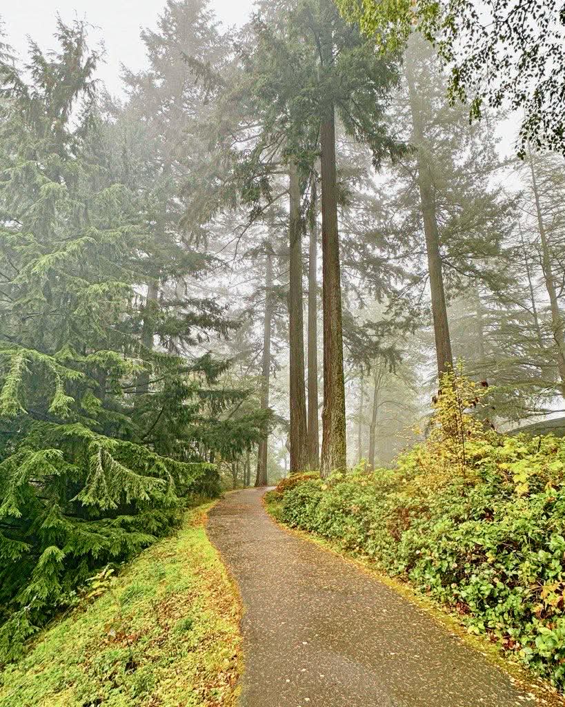 4-Day Retreat with Lifestyle Change Program