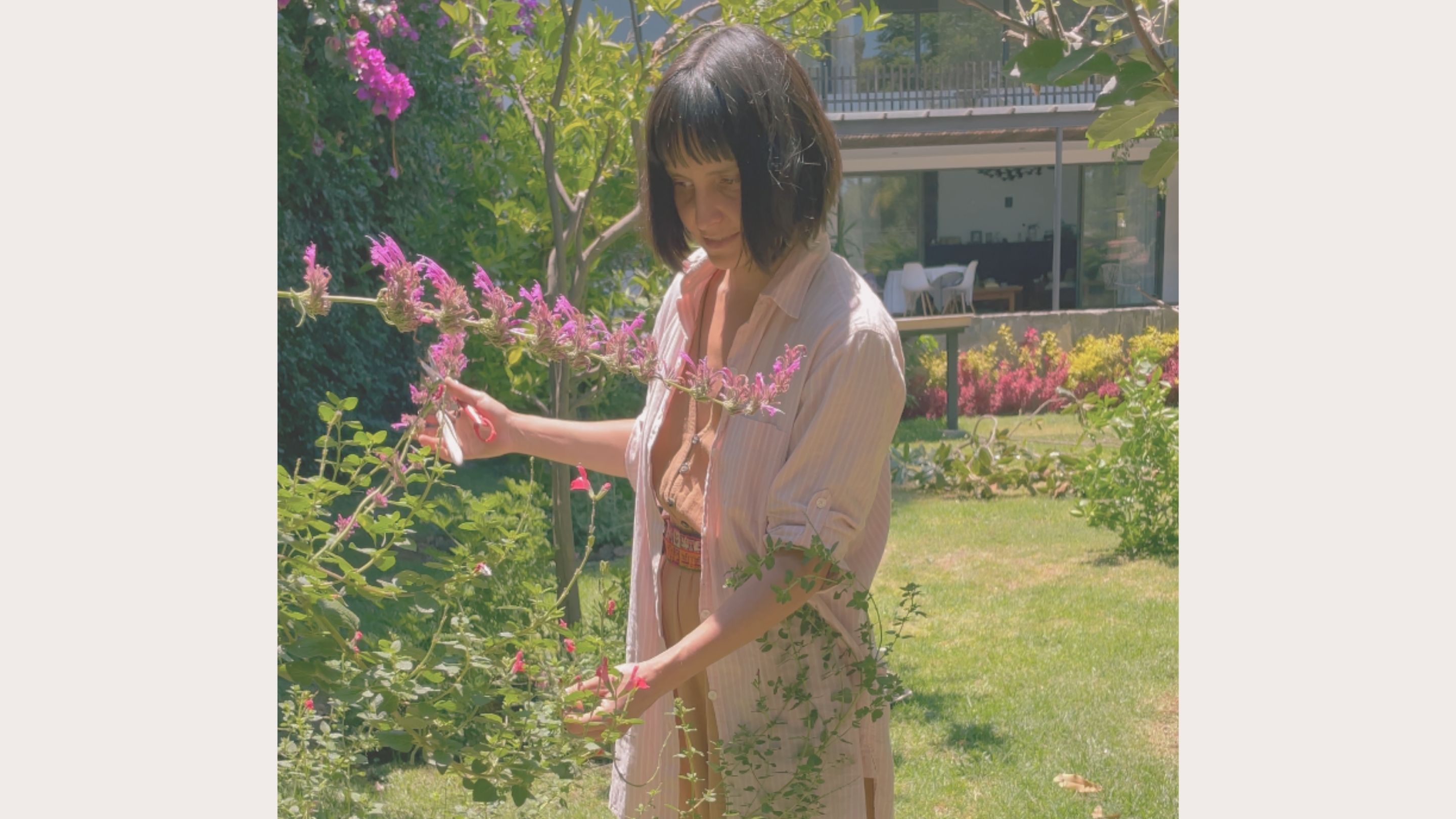 Asesoría personalizada para jardines 