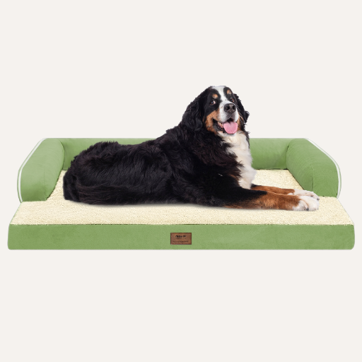 Orthopedic Dog Sofa Bed