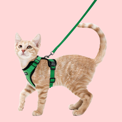 Cat Harness with Leash