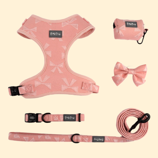 Luxe No-Pull Harness, Collar & Leash Set