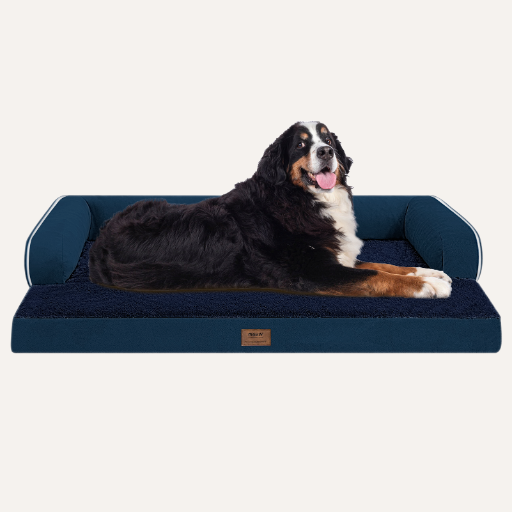 Orthopedic Sofa Dog Bed