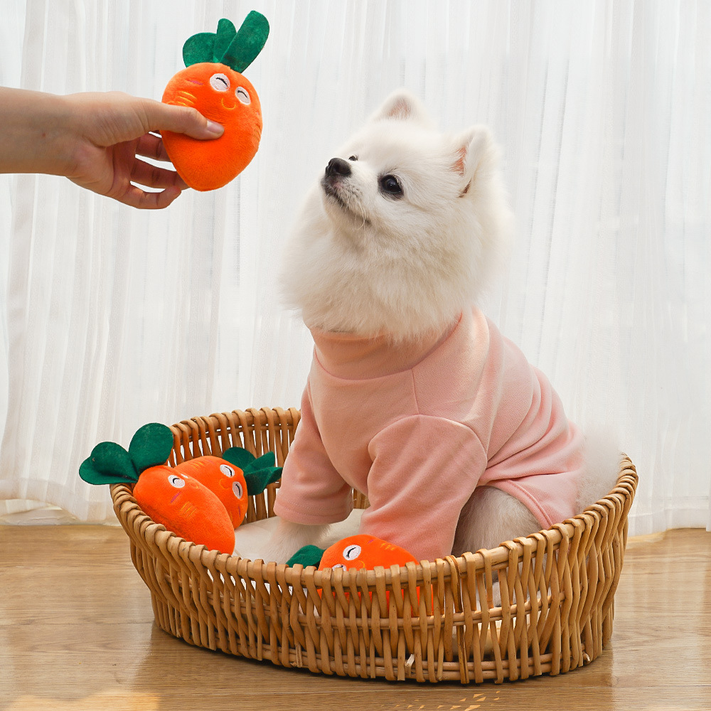 Carrot Plush Toy