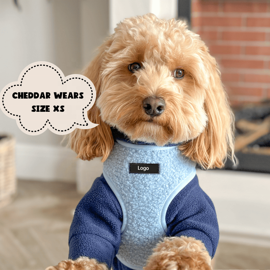 Pet Harness Leash Set