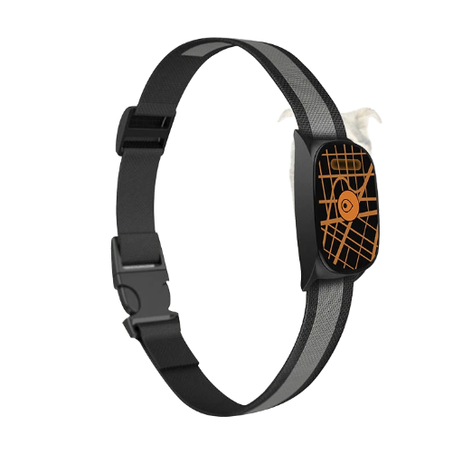 GPS Dog Collar tracker
