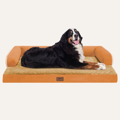 Orthopedic Dog Sofa Bed