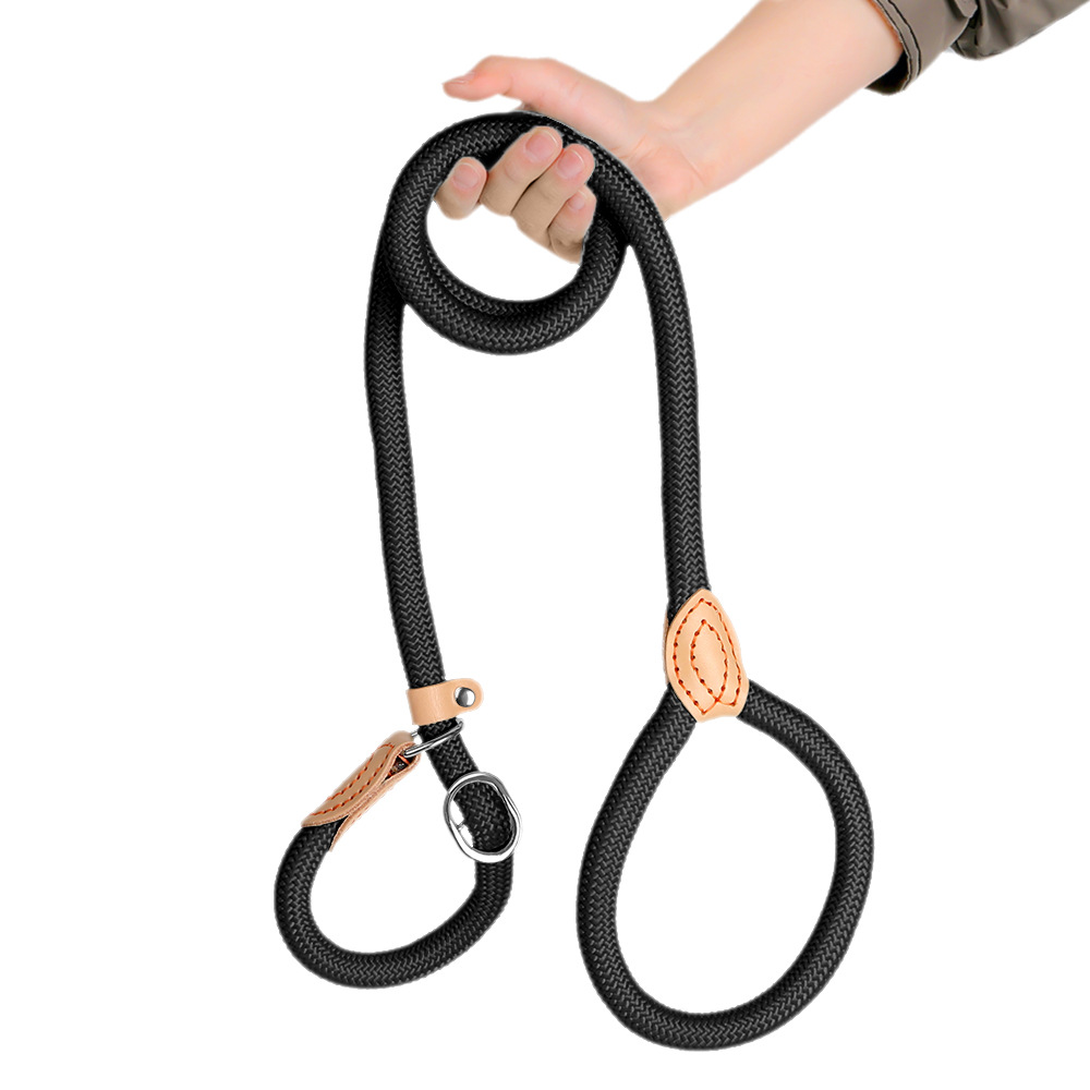  Anti-Pull Training Leash 