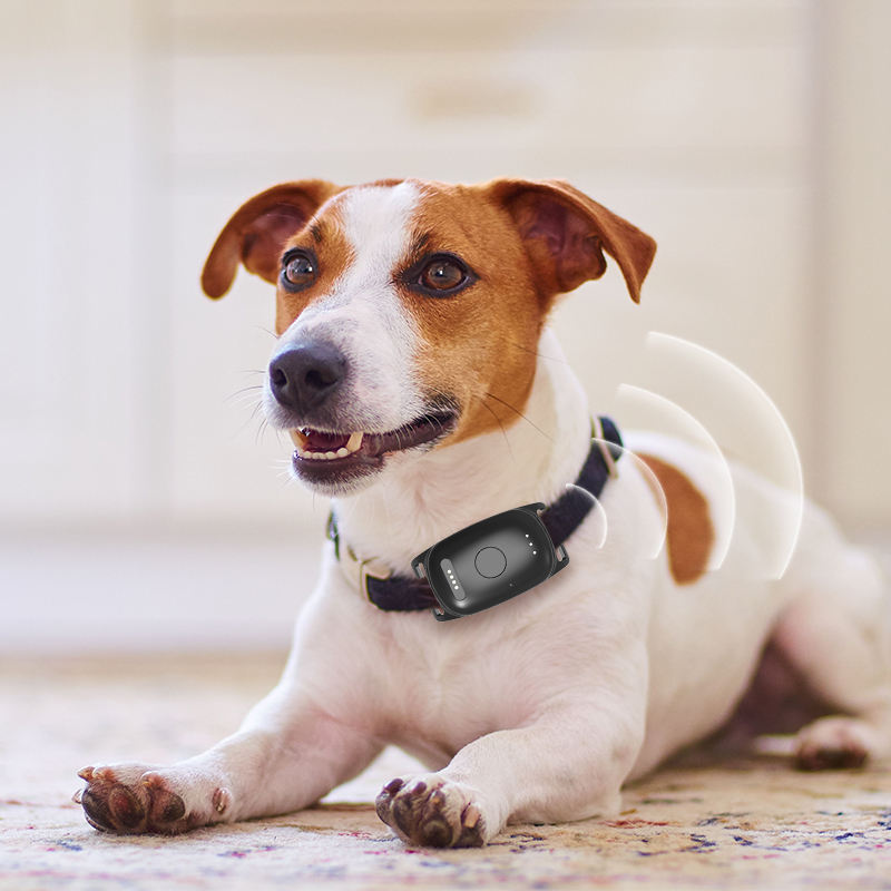 GPS Dog Collar tracker
