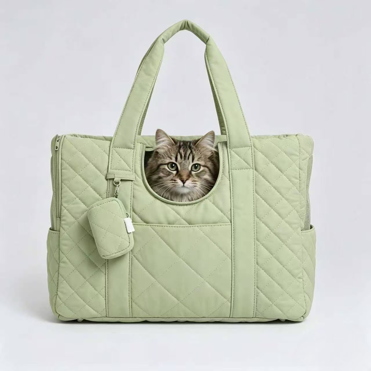 Pistachio Sage Pet Carrier