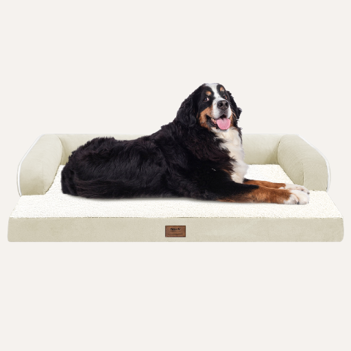 Orthopedic Bolster Dog Bed