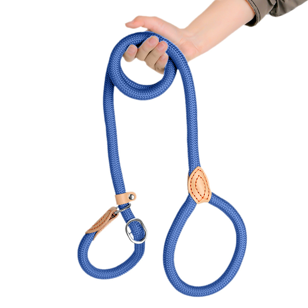  Anti-Pull Training Leash 