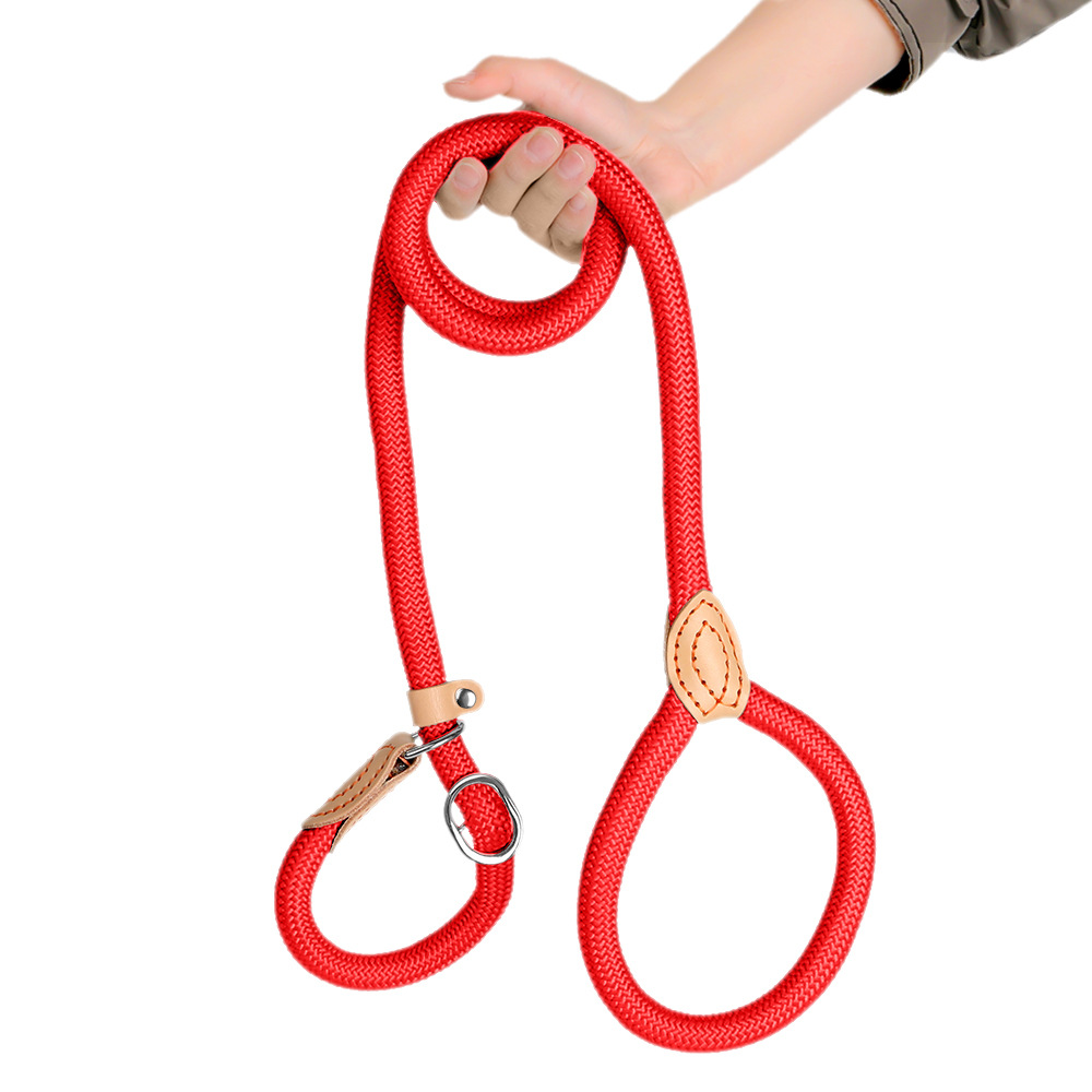  Anti-Pull Training Leash 