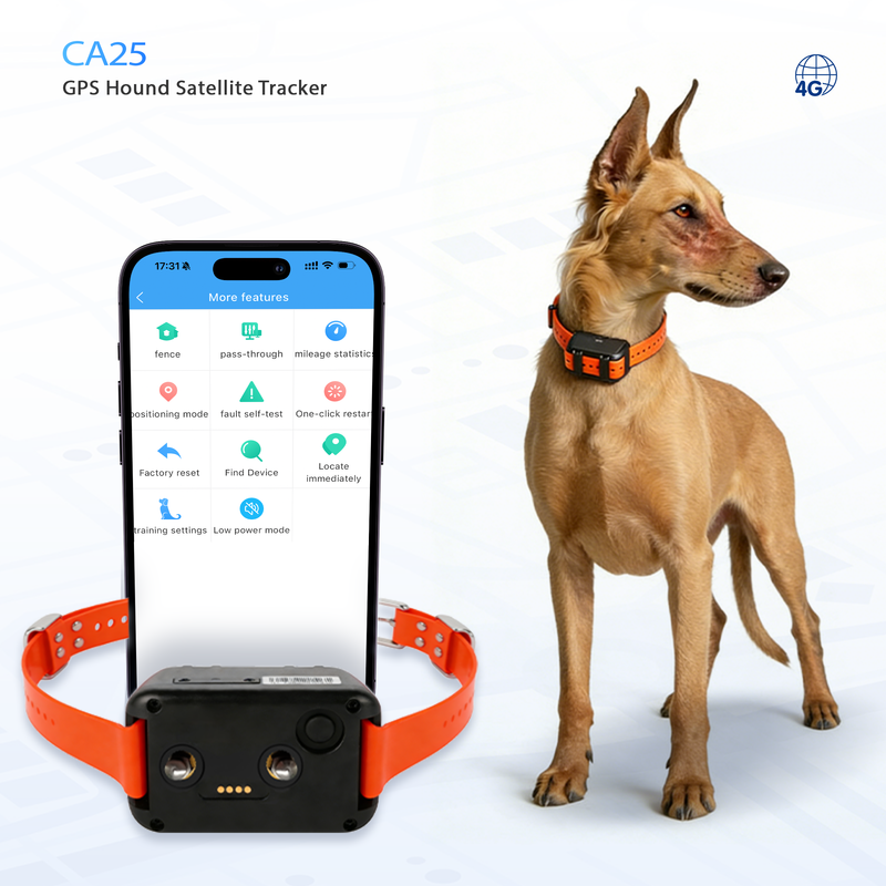 Special WiFi Waterproof Magnetic Dog Tracking Collar