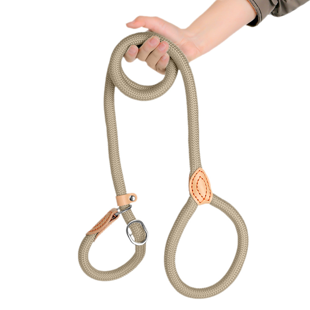  Anti-Pull Training Leash 
