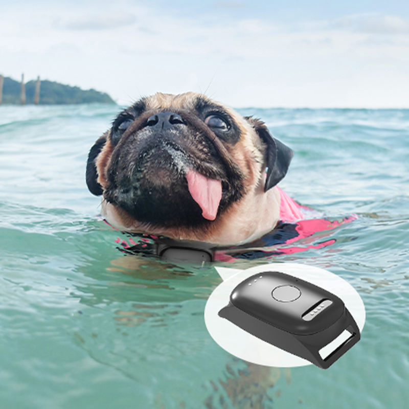 GPS Dog Collar tracker