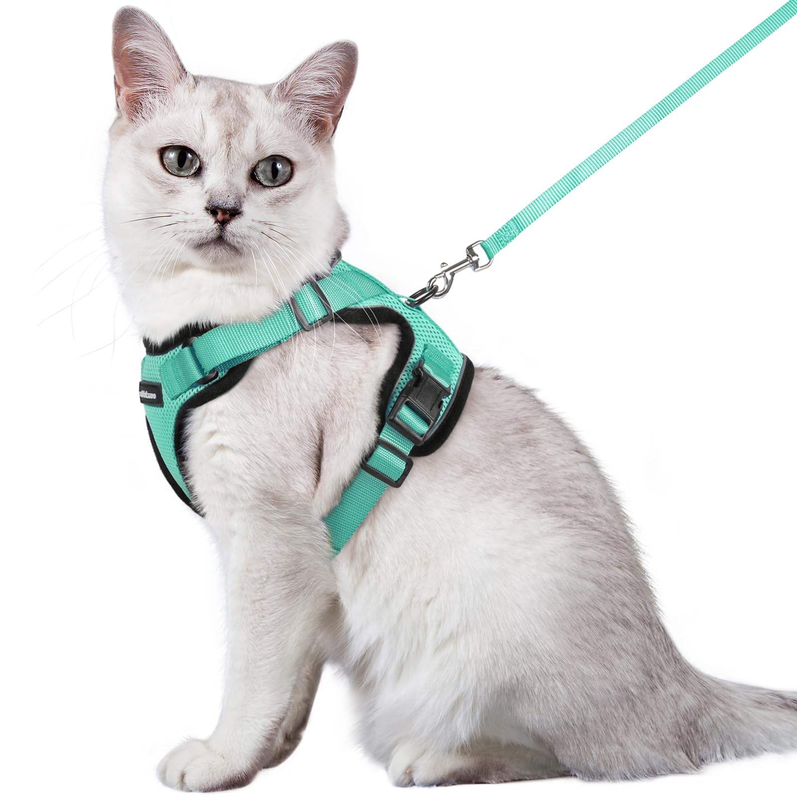 Cat Harness with Leash