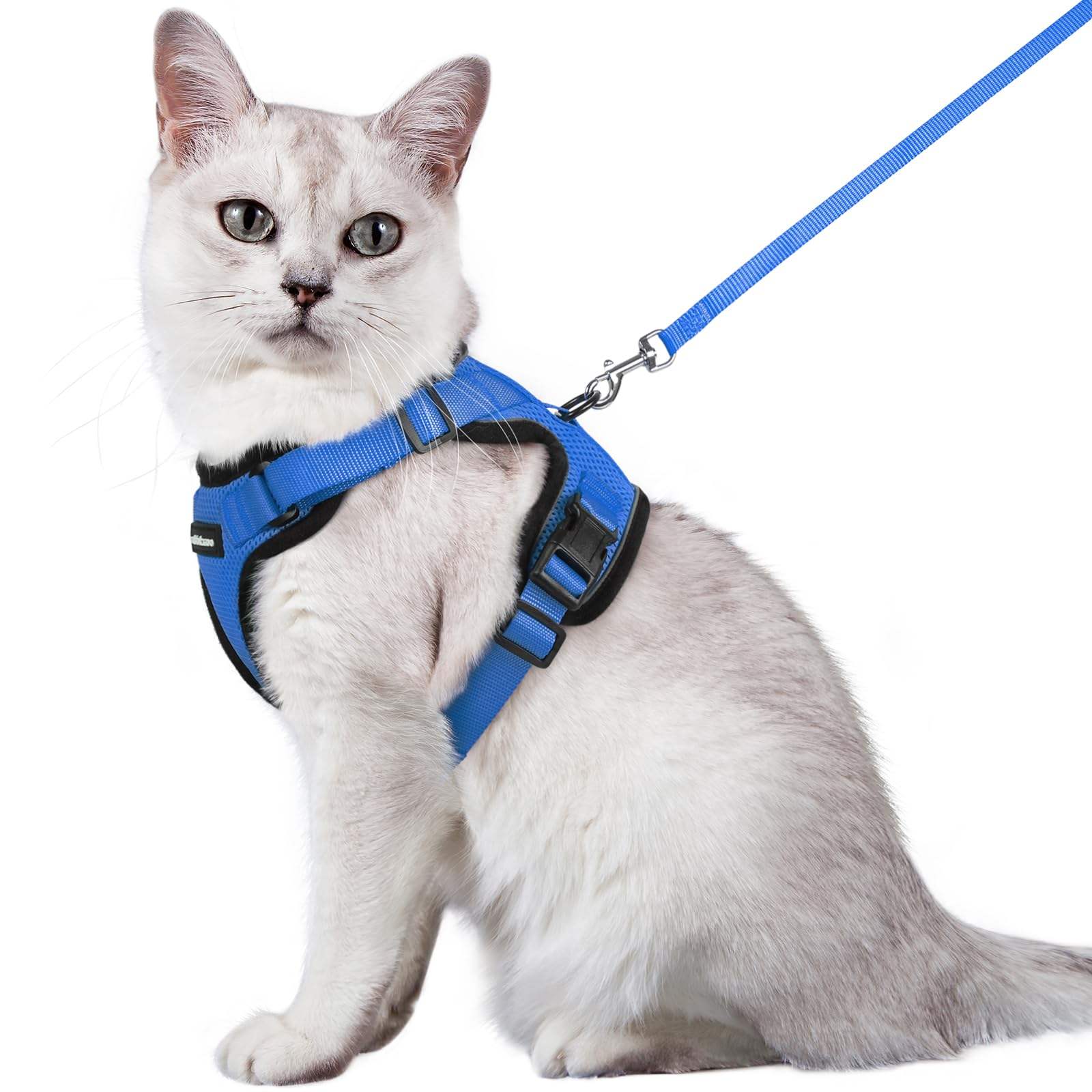 Cat Harness with Leash