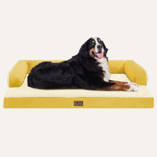 Orthopedic Dog Sofa Bed