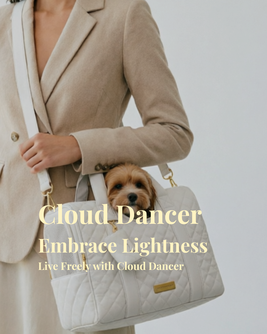 Cloud Dancer Pet Carrier