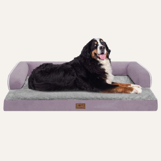 Luxury Orthopedic Dog Sofa Bed