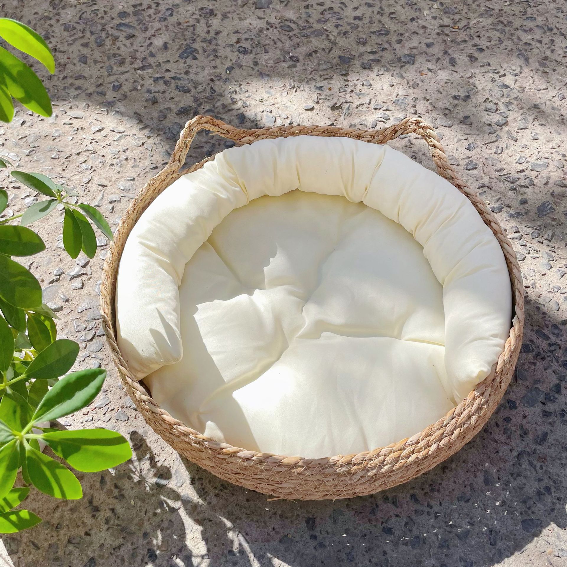 Handwoven Rattan Cat Bed – All-Season Comfort