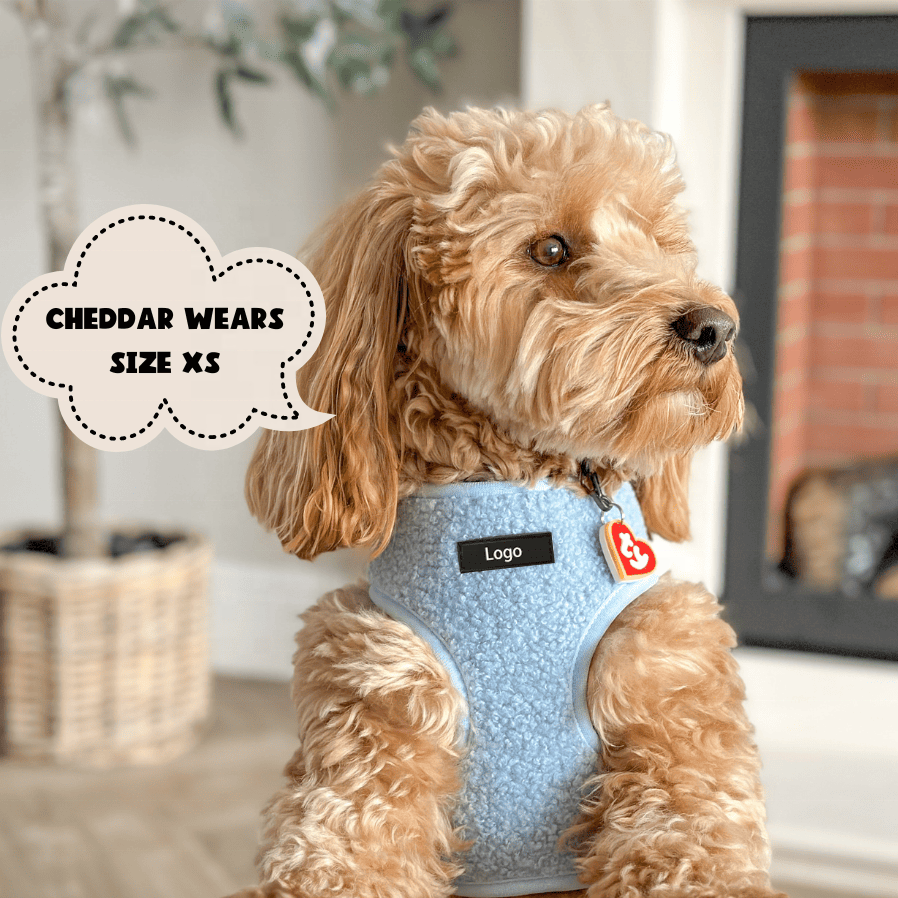 Pet Harness Leash Set