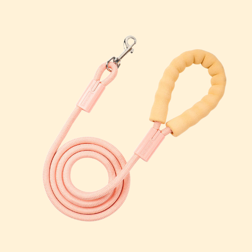 Durable Dog Leash
