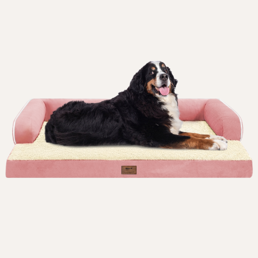Orthopedic Sofa Dog Bed