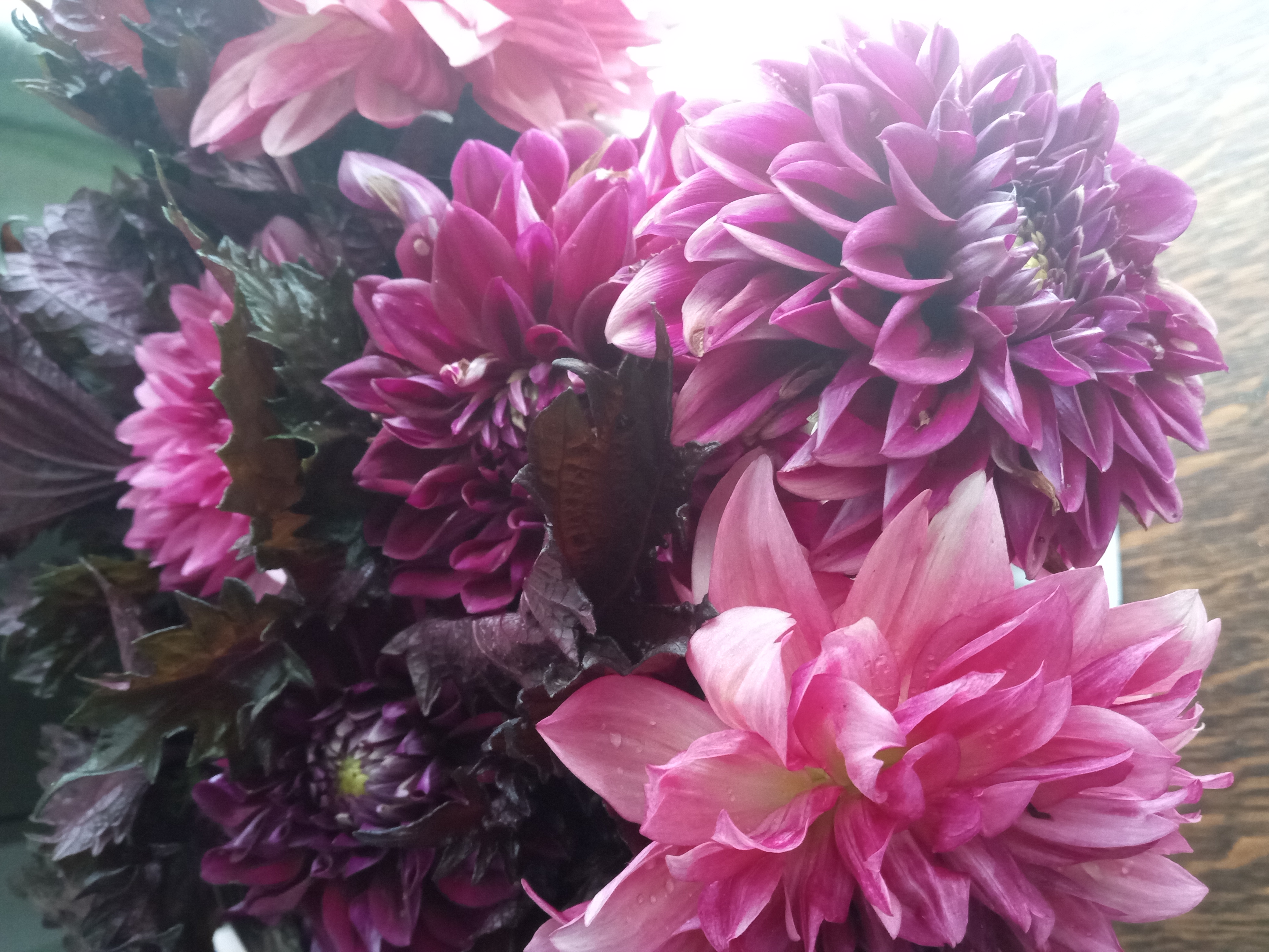 Simple Cut Flower Garden