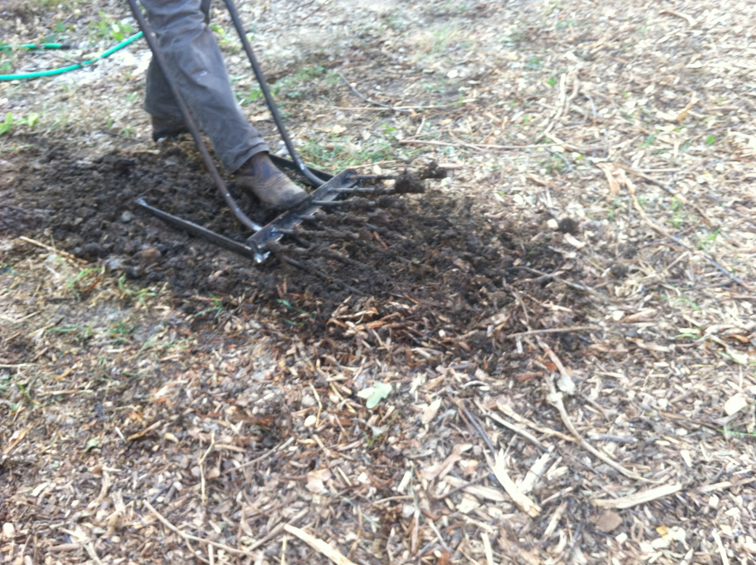 Burbsteading  Summer Camp Intensive  June 8-12 