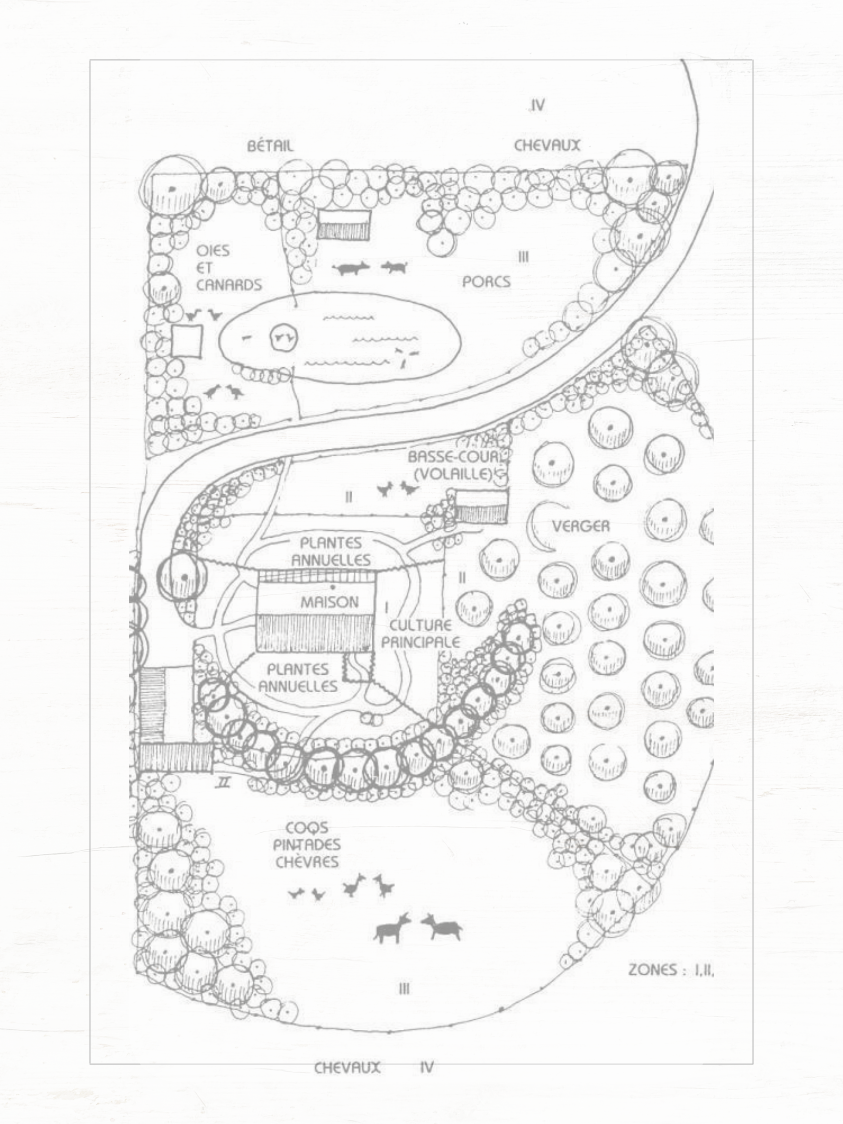 Burbsteading  Summer Camp Intensive  June 8-12 