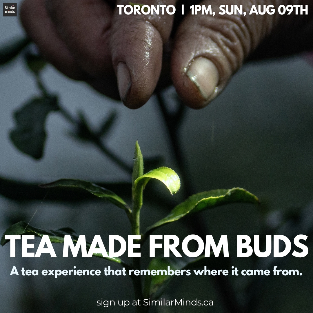 Buds (Aug 9) vs. Leaves (Sept 13)— A Two-Part Tasting Series @Toronto