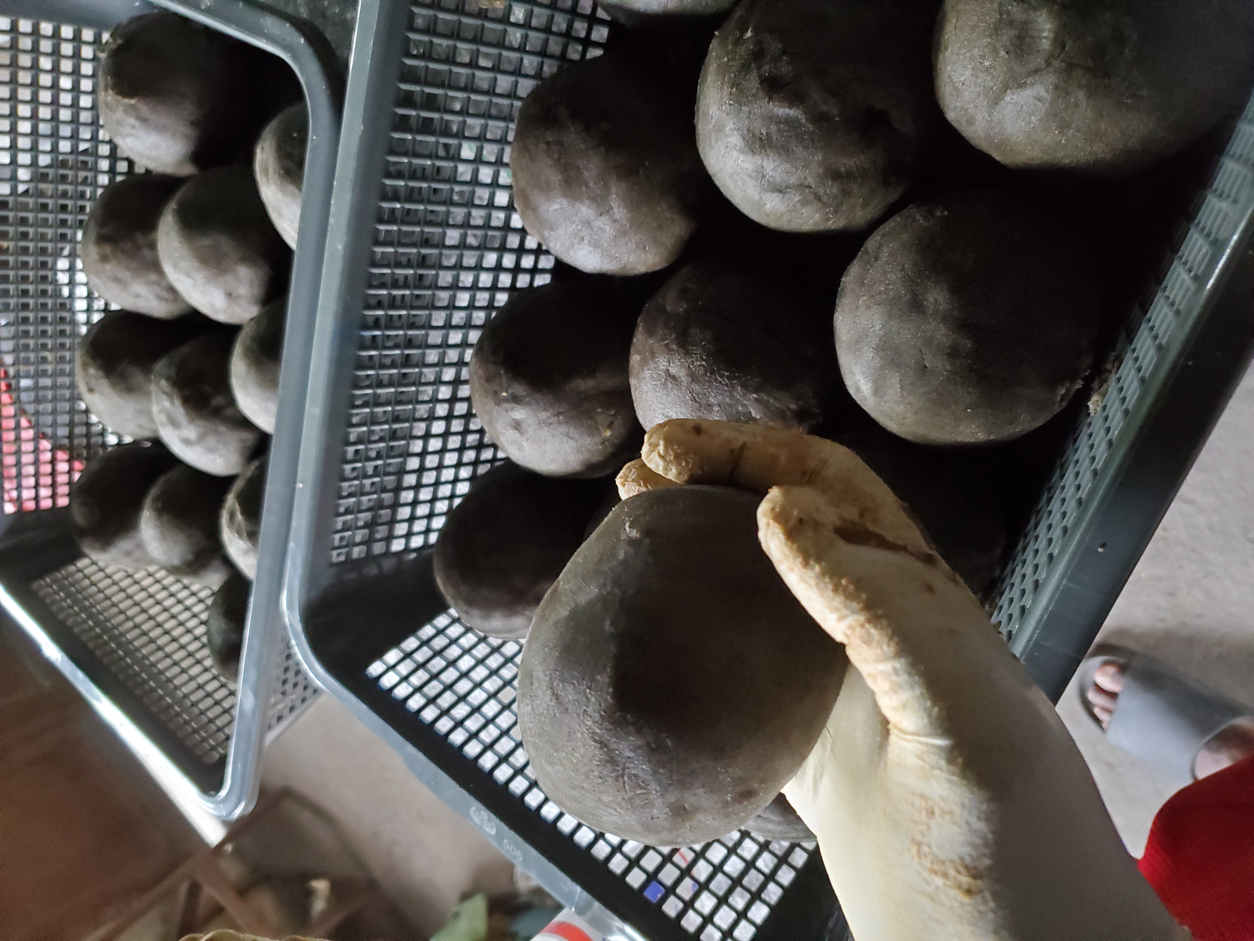 Savon Noir Mireina Splendeur Bio 