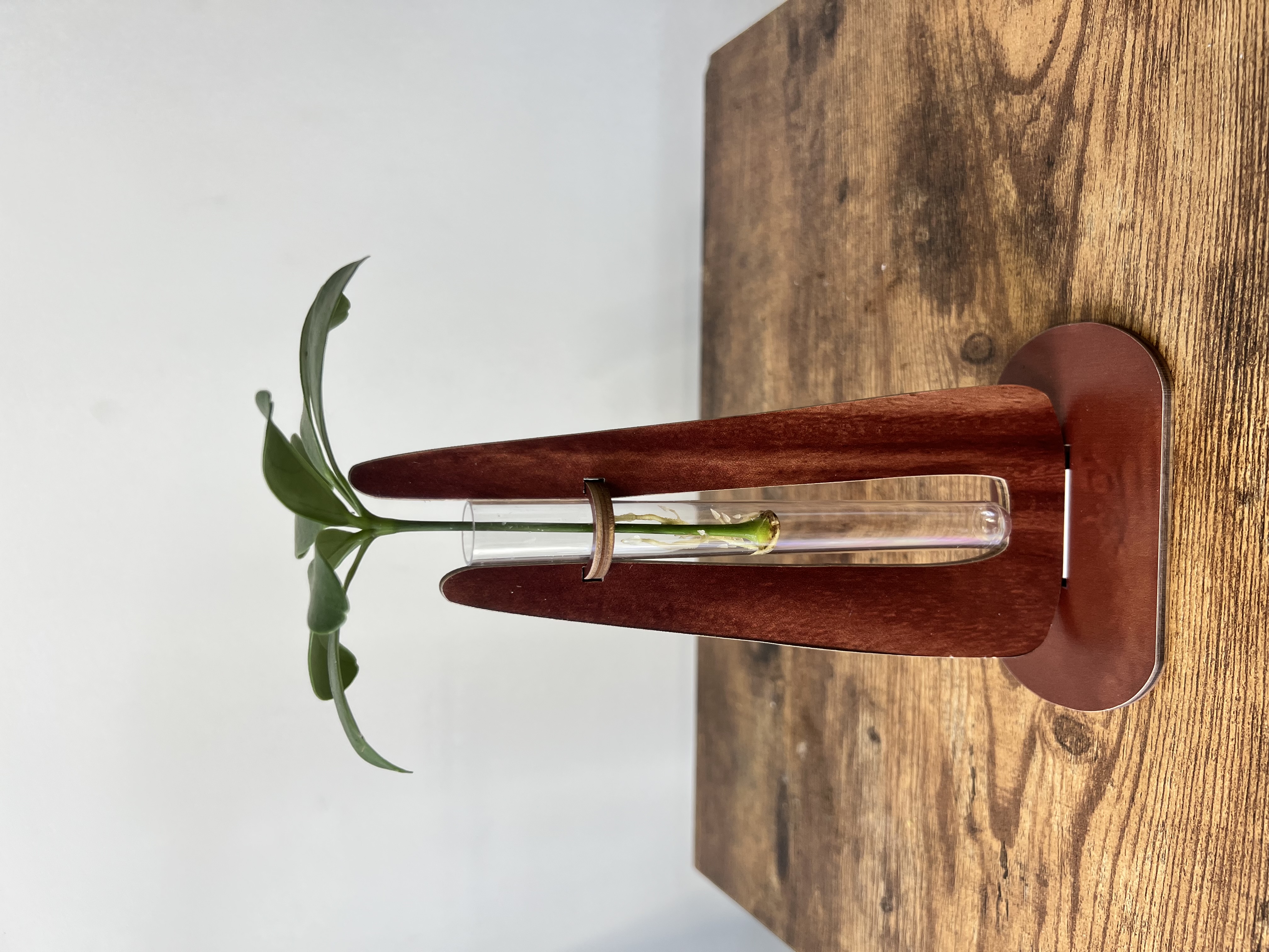 Wooden Single Stem Vase