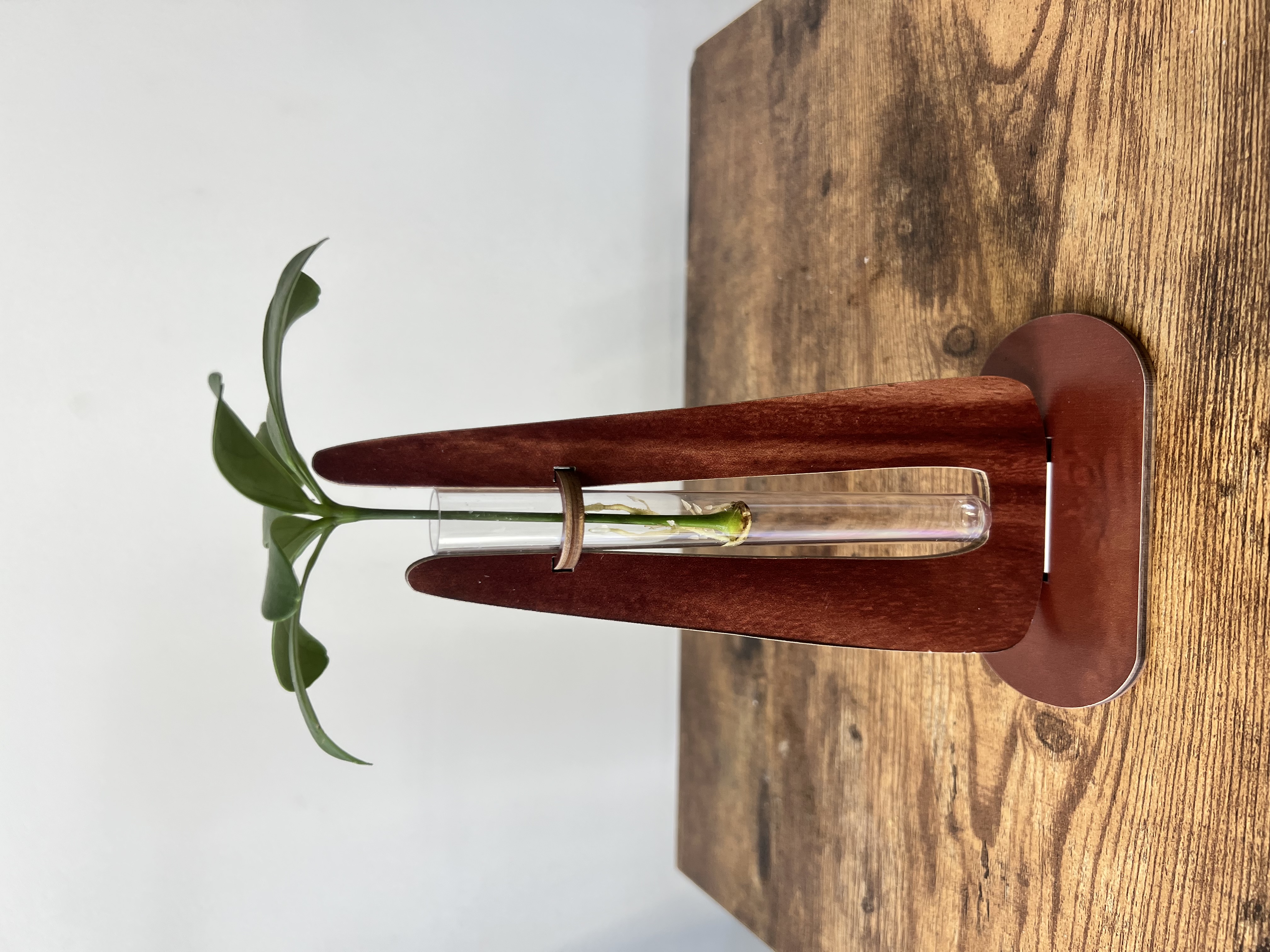 Wooden Single Stem Vase