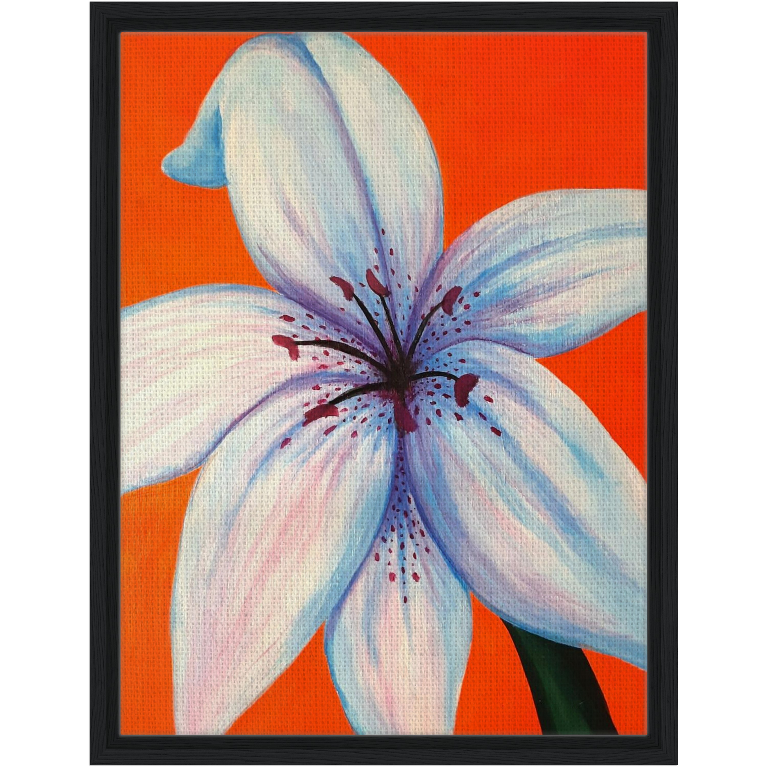 Blue Lily Lux, Acrylic