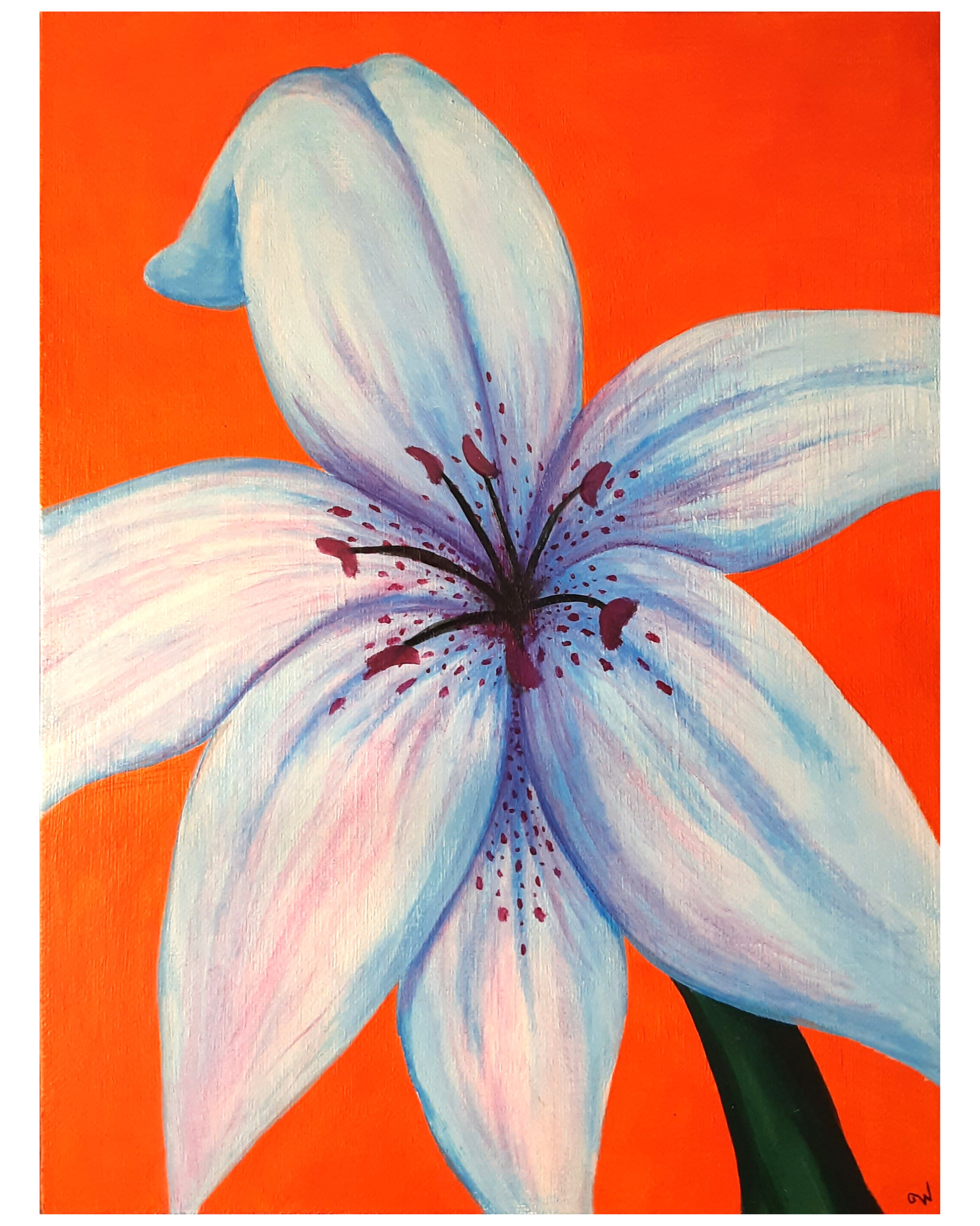 Blue Lily, Acrylic