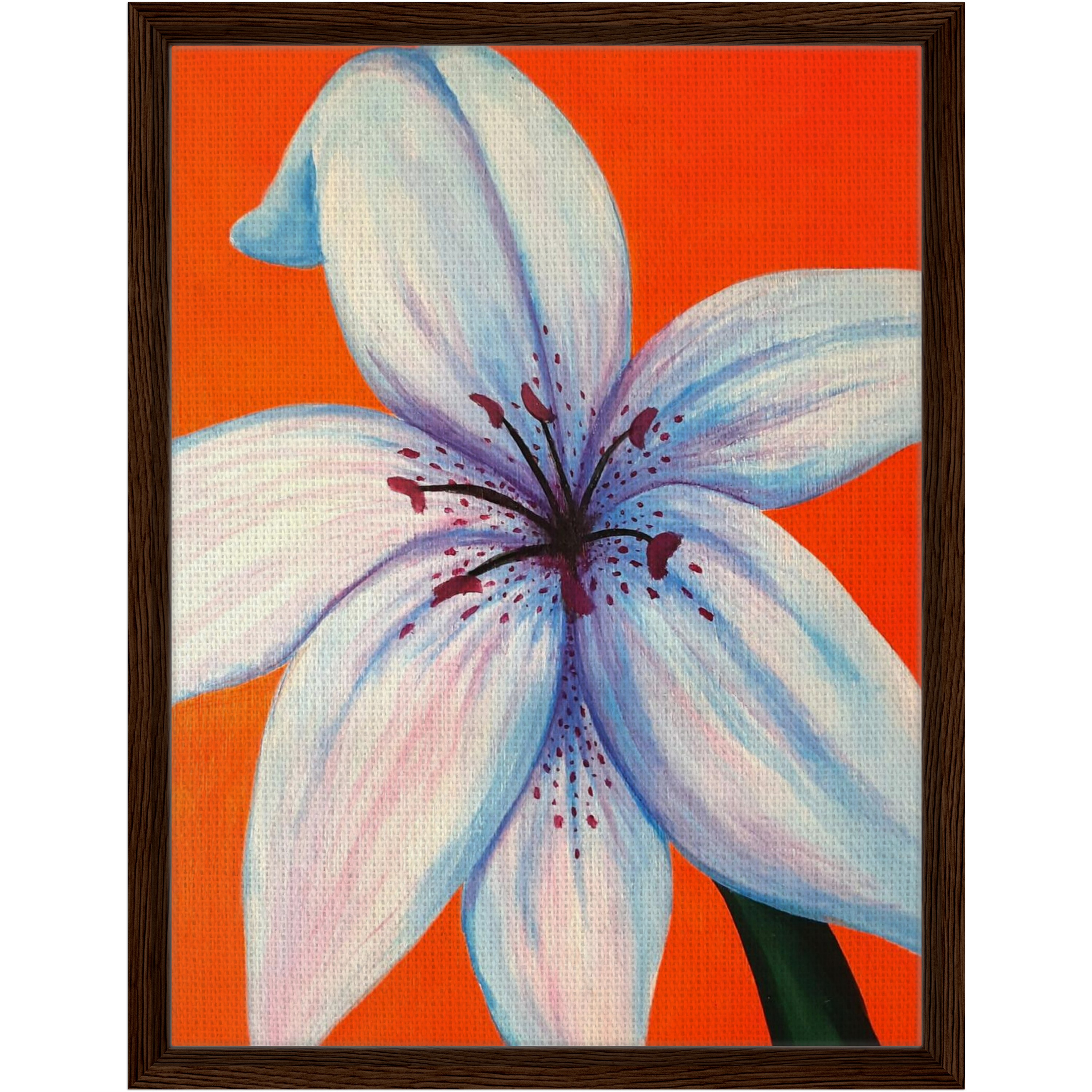 Blue Lily Lux, Acrylic